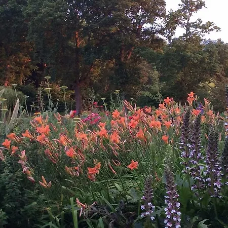 D'hotes La Queue Au Loup Alojamento de Acomodação e Pequeno-almoço Le Molay-Littry