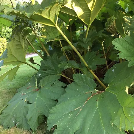 D'hotes La Queue Au Loup 3*