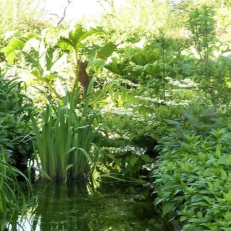 Alojamento de Acomodação e Pequeno-almoço D'hotes La Queue Au Loup Le Molay-Littry