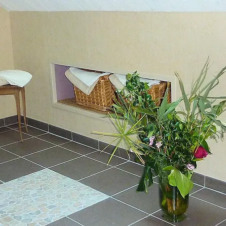 Bed & Breakfast D'hotes La Queue Au Loup