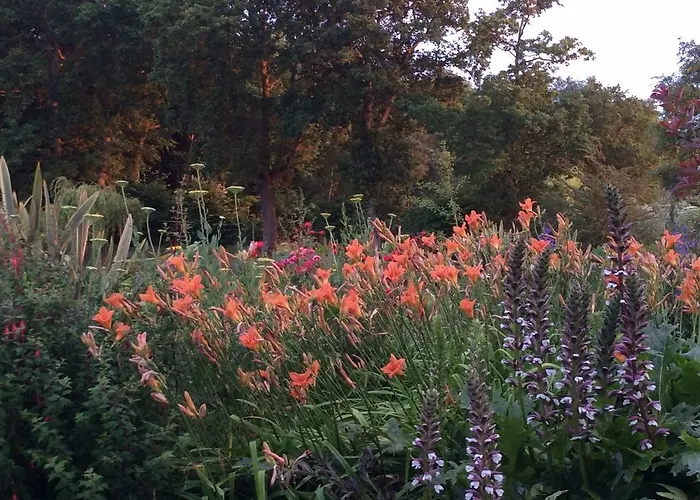 D'hotes La Queue Au Loup Bed & Breakfast Le Molay-Littry