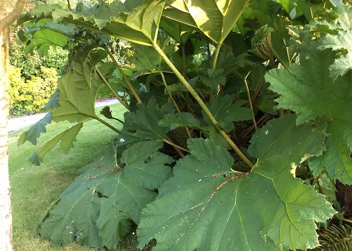 D'hotes La Queue Au Loup 3*