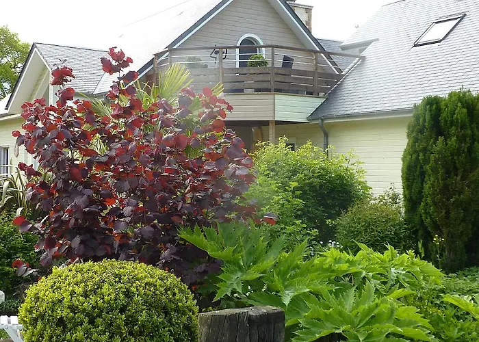 Bed & Breakfast D'hotes La Queue Au Loup 3*