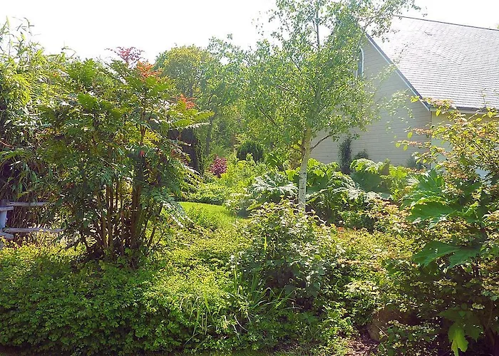 Bed & Breakfast D'hotes La Queue Au Loup