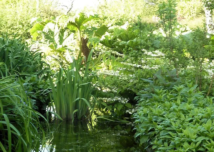 Bed & Breakfast D'hotes La Queue Au Loup Le Molay-Littry